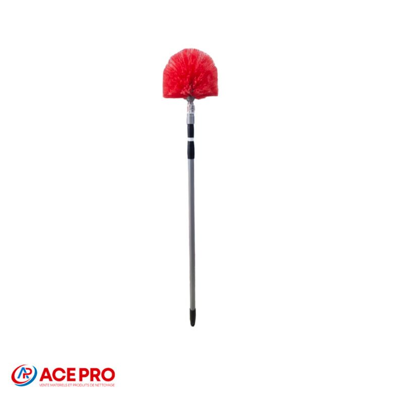 Tête de loupe avec manche